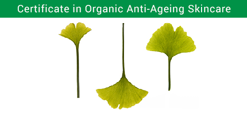 Certificate in Organic Anti-Ageing Skincare