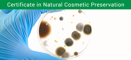 Certificate in Natural Cosmetic Preservation