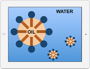 Organic Cosmetic Science Course