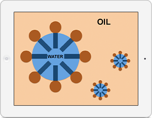 Organic Cosmetic Science Course