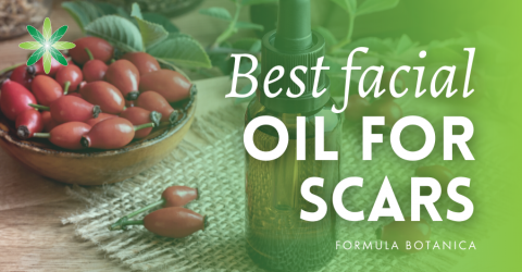Best Facial Oil for Scars