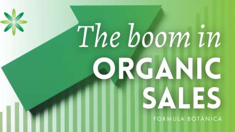 The Boom in Global Organic Cosmetic Sales