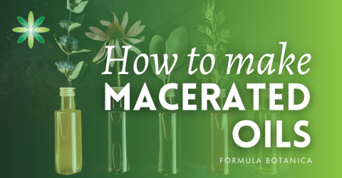 How to Make Macerated Oils – Formula Botanica