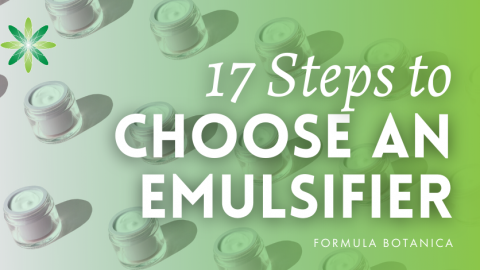 17 Points to Consider Before Choosing an Emulsifier