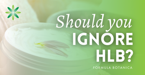 What is HLB and why should you ignore it
