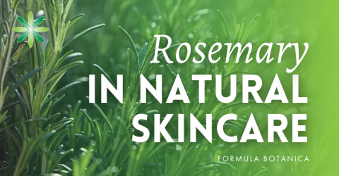 How to use Rosemary in Natural Skincare
