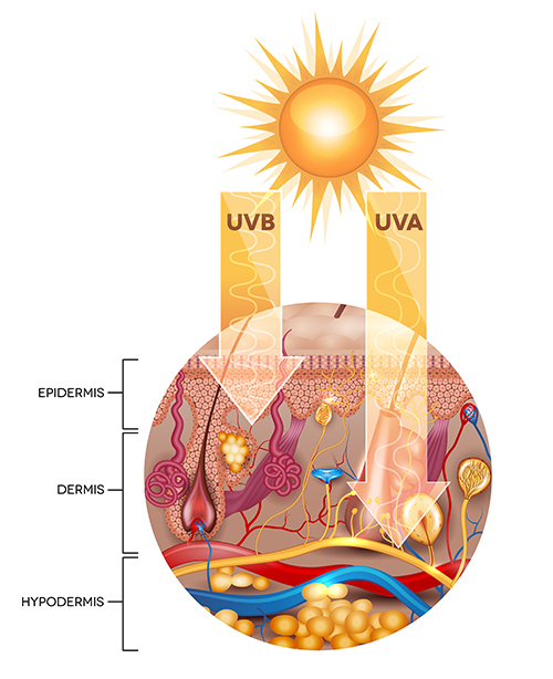 coconut oil on top of sunscreen