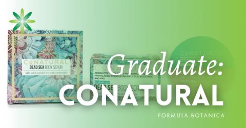 Graduate Success Story: Conatural International