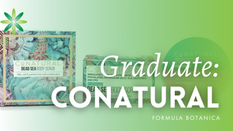 Graduate Success Story: Conatural International