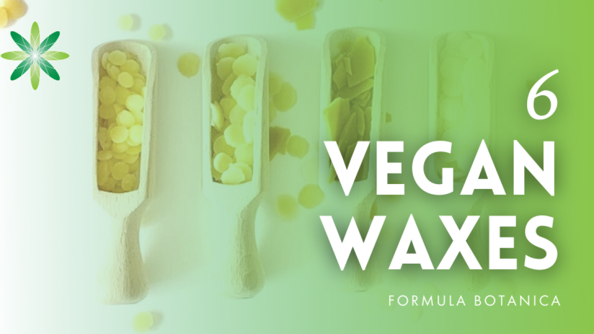 8 oz Candelilla Wax 100% Pure and Natural Small Flakes DIY Lip Balms and  Lotion Bars (Vegan Wax) Alternative to Beeswax