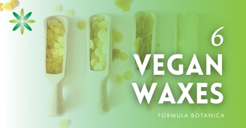 6 Vegan Waxes for Organic Cosmetic Formulations