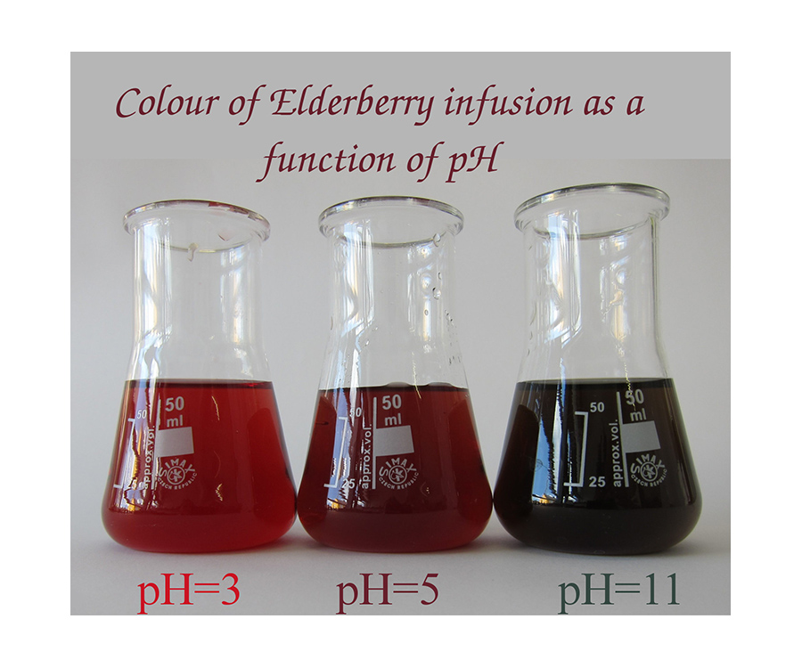 Colour of elderberry infusion as a function of pH