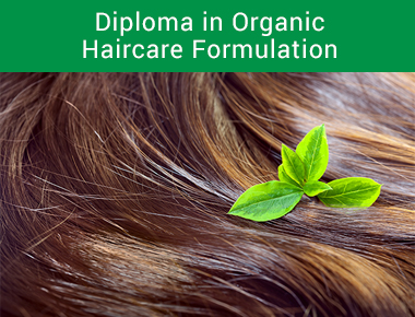 Diploma in Organic Haircare Formulation - Formula Botanica
