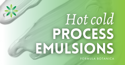 How to make a Hot Cold Process Emulsion