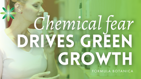 Concern About Chemicals Is Driving Green Beauty Growth