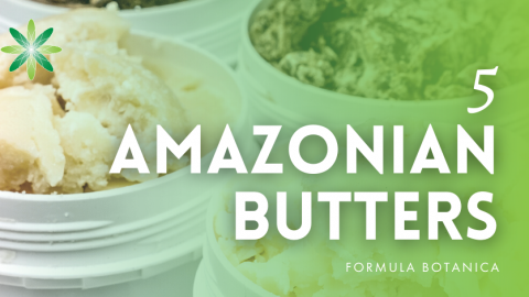 5 Amazonian Butters for Organic Skincare Formulations