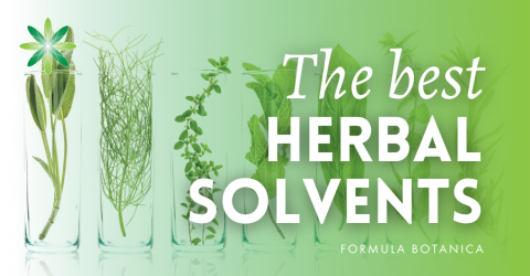A Guide to Choosing the Best Herbal Solvent