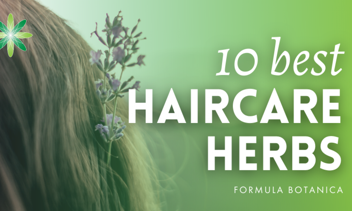 10 of the Best Haircare Herbs for Organic Cosmetic Formulations