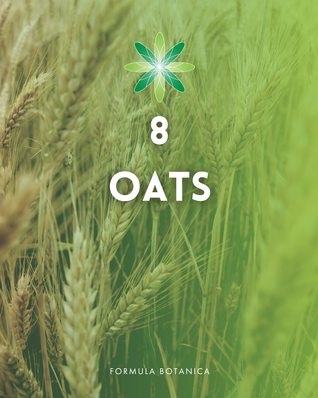 Top 10 best haircare herbs for your natural formulations