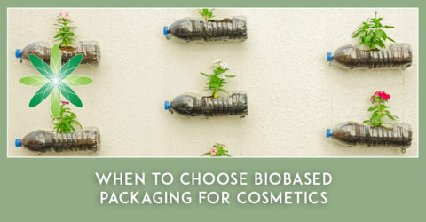 When to choose Biobased Packaging for Cosmetics – an interview with Caroli Buitenhuis