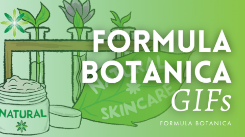 How To Use Formula Botanica GIF Stickers in Instagram Stories