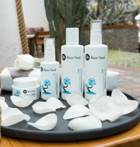 baresoul skincare range