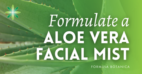 How to Make an Aloe Vera Repairing Mist