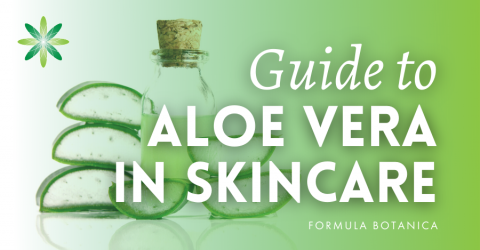 The Formulator’s Guide to Aloe Vera in Natural Skincare