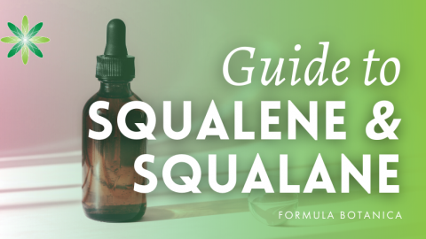 The Formulator’s Ultimate Guide to Squalene and Squalane