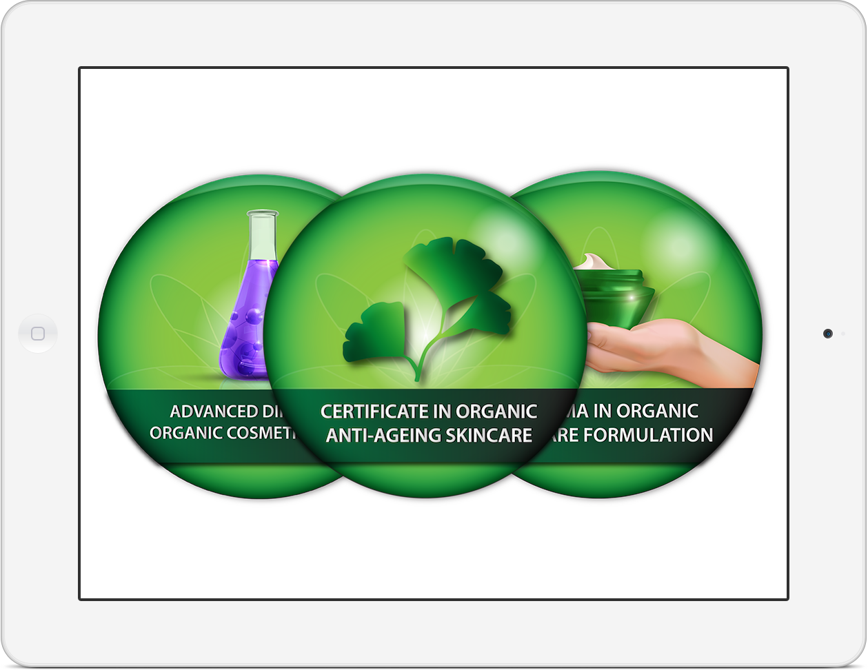 Diploma In Organic Skincare Natural Skincare Course Formula Botanica