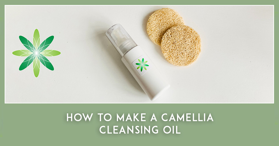 How to make a Camellia Cleansing Oil - Formula Botanica