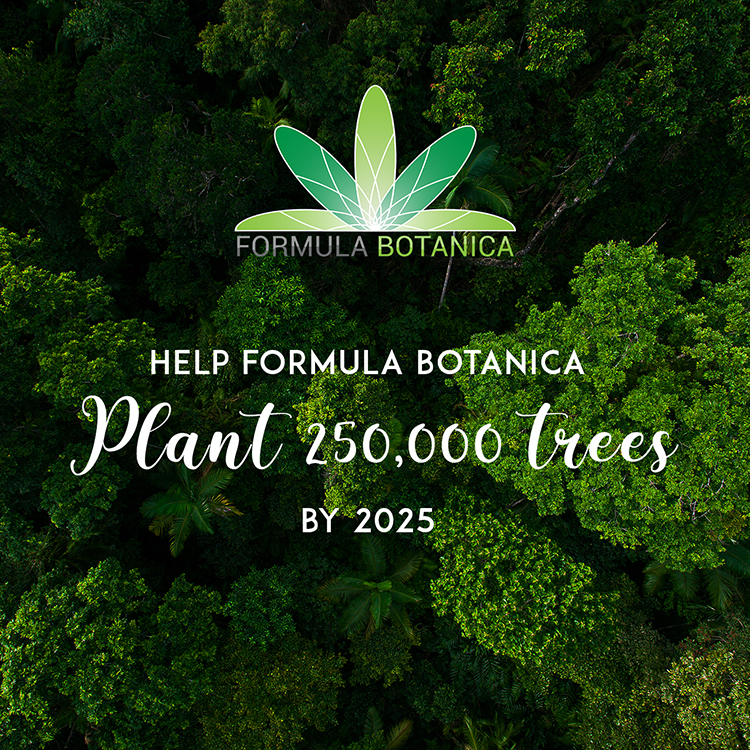 Formula Botanica Forest TreeSisters