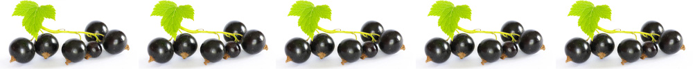 Superfruits in Skincare: Blackcurrant