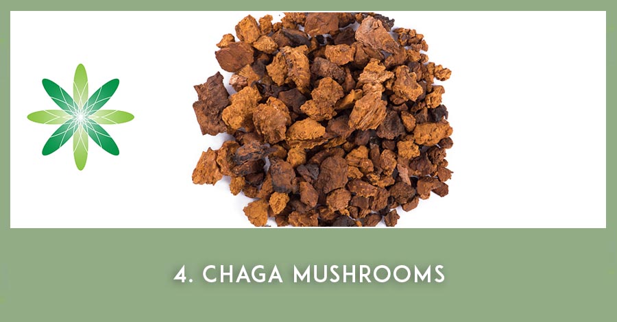 Chaga mushroom - Nordic beauty ingredients