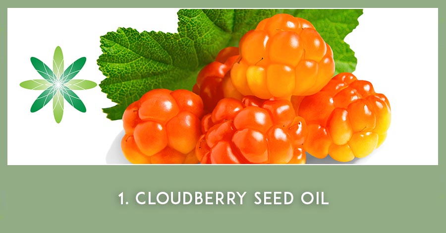 Cloudberry seed oil - Nordic Beauty Ingredient