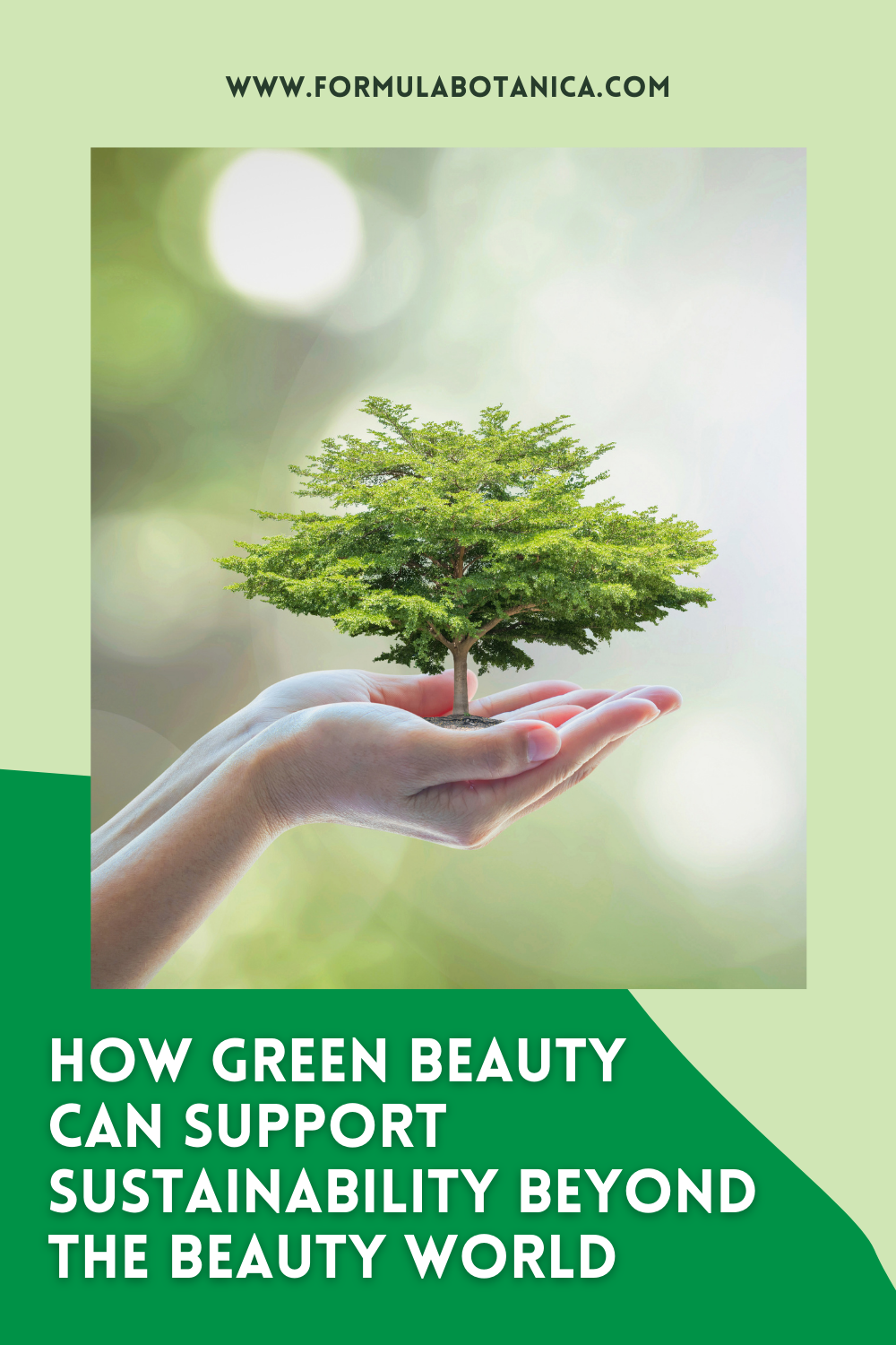 How Green Beauty can support sustainability charities