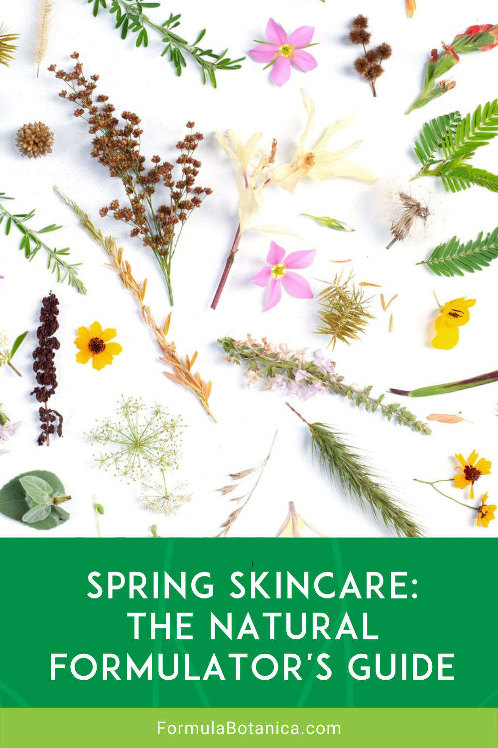 Spring Skincare - Natural Formulator's Guide