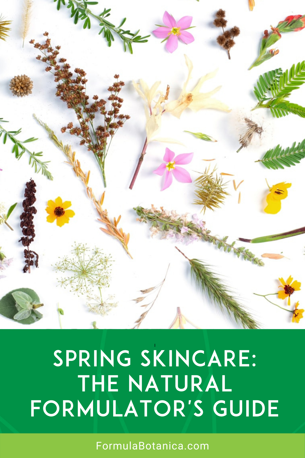 Navigating The Spring Skincare Landscape A Comprehensive Guide For