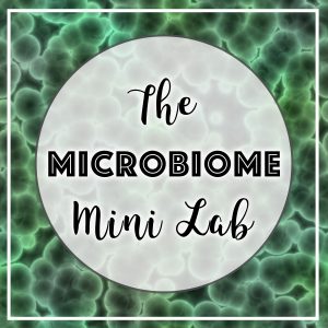 Mini Lab - Microbiome
