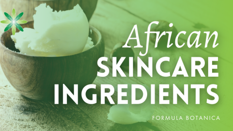 10 Natural African Skincare Ingredients