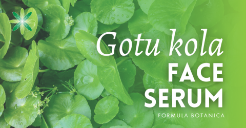 Gotu kola: the botanical ingredient every formulator needs
