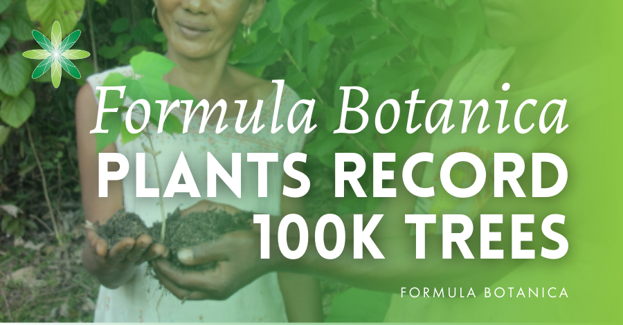 Formula Botanica plants 100k trees