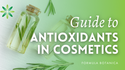 The formulator’s guide to antioxidants in cosmetics