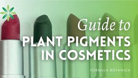 The Formulator’s Guide to Cosmetic Plant Pigments
