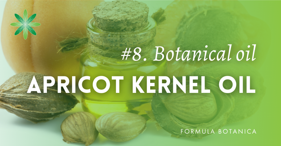 Apricot Kernel Oil - A Light & Quick-Absorbing Oil - Skin & Hair Care