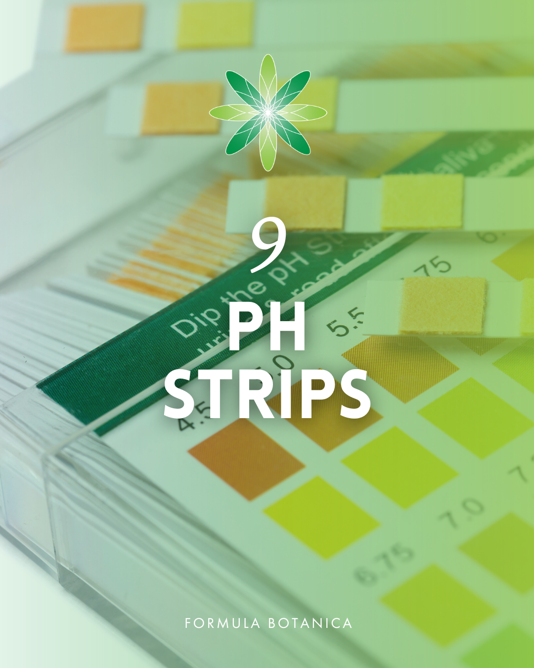 Cosmetic formulation kit: 11 essential tools to get you started