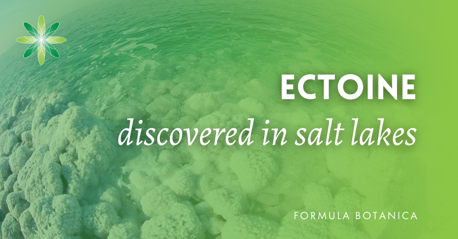 Ectoine active natural cosmetic ingredient