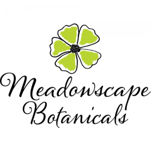 Meadowscape_Botanicals_logo