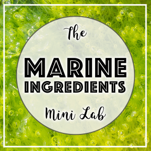 Mini Lab 27 - Marie Ingredients
