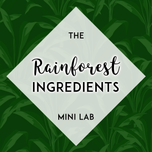 Month 22 - Rainforest Ingredients (1)